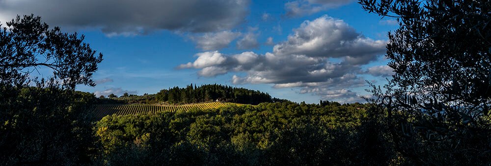 Nittardi Landscape