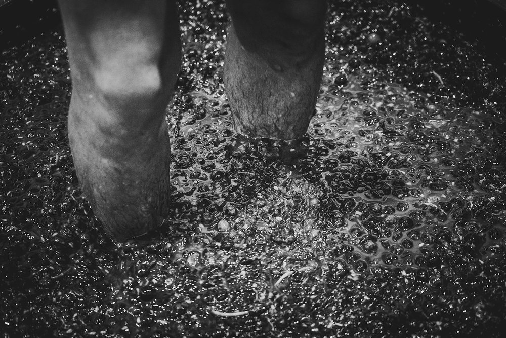 Bendito Destino on foot